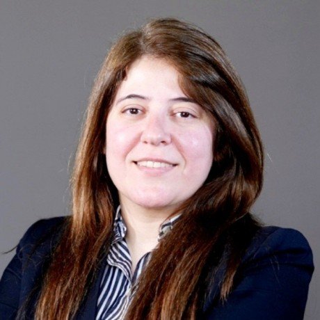 Nisreen Alwan
