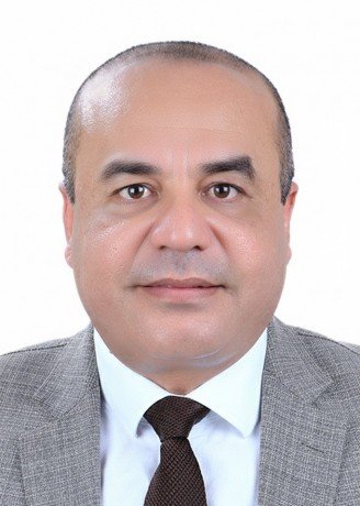 Wael Amin Nasr El-Din