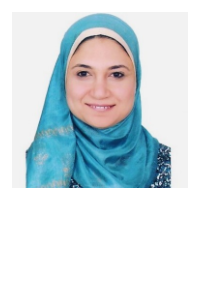 Prof. Walaa Rabie